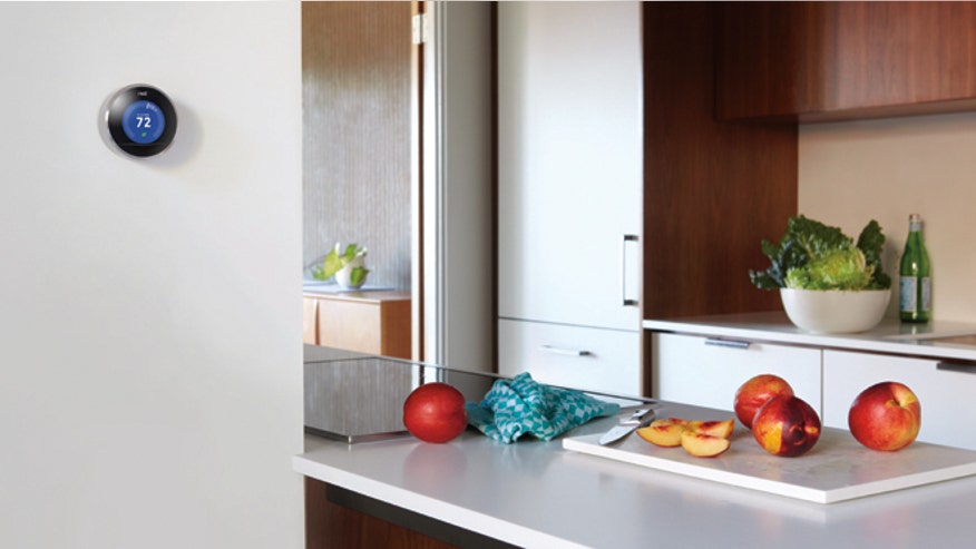 nest in kitchen.jpg